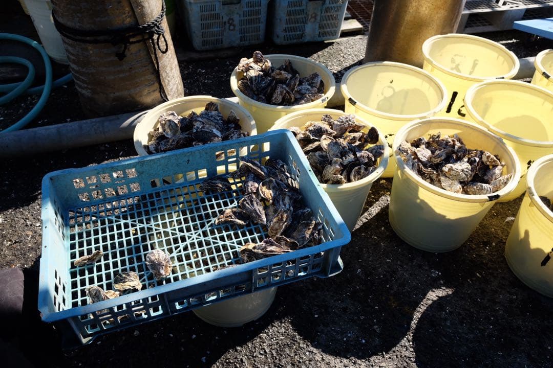 Fujifilm X70 動作確認済　作例あり