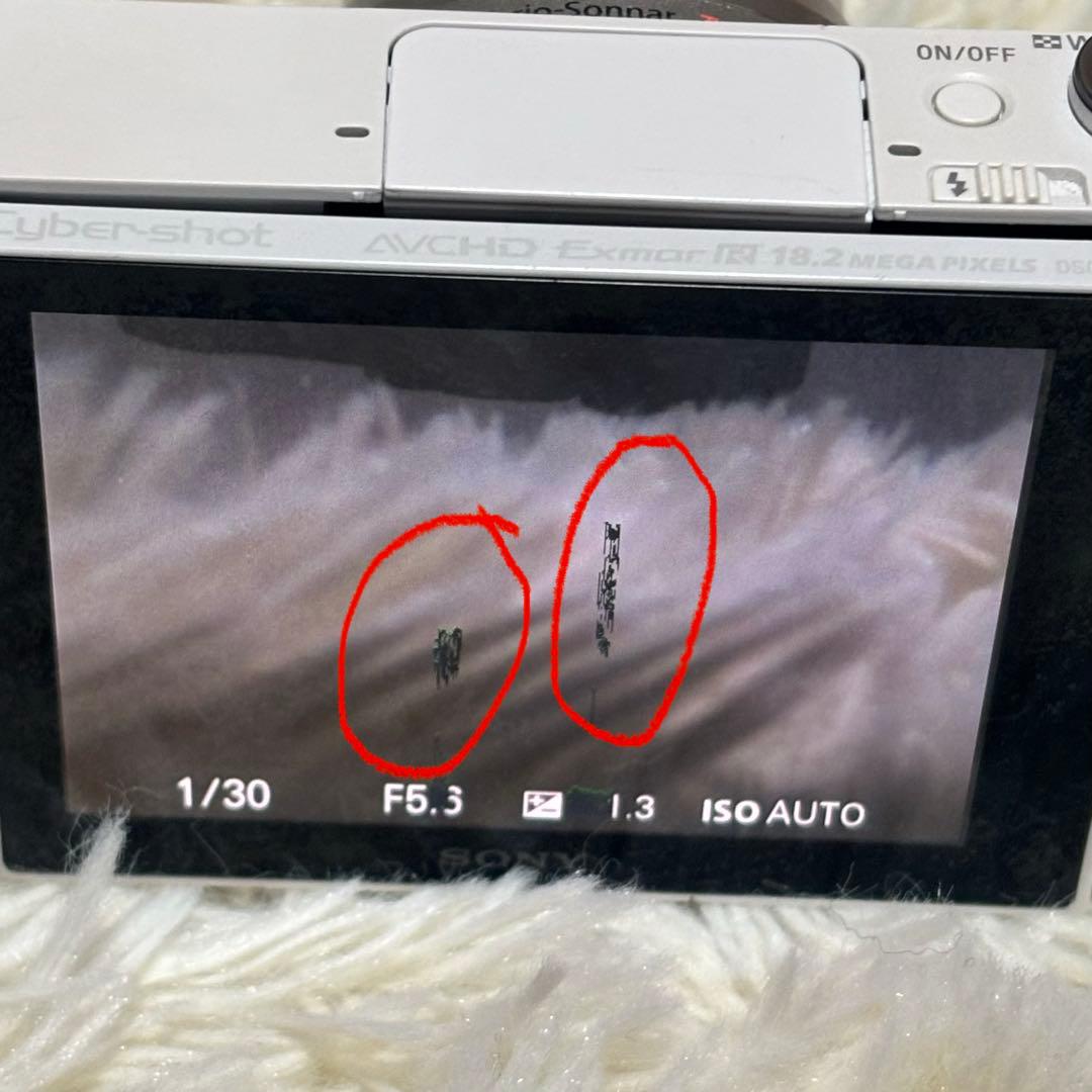 SONY コンパクトデジタルカメラ DSC-WX500 30倍ズーム