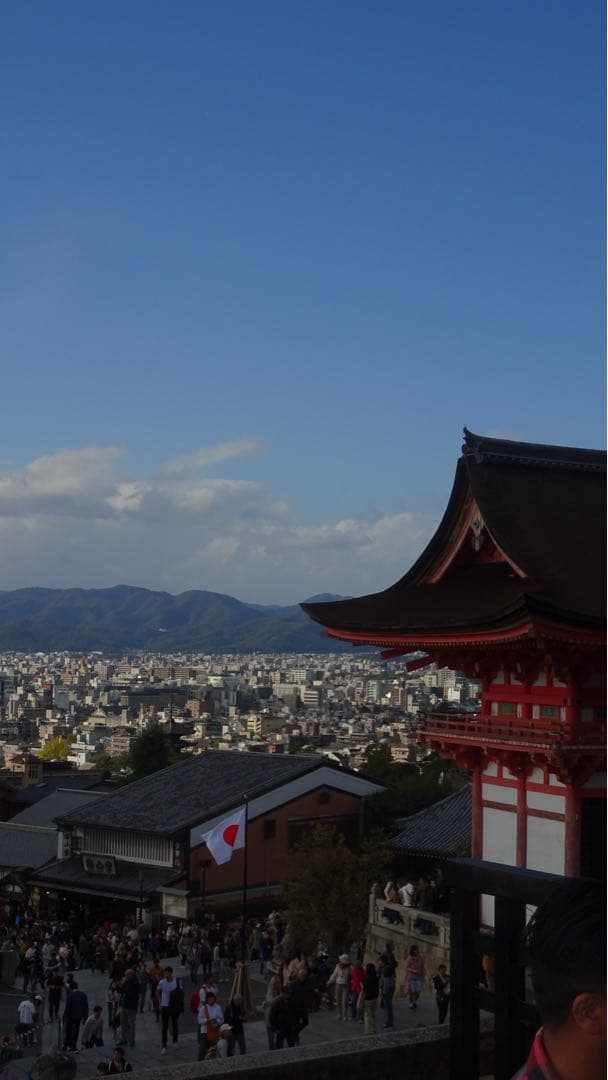 SONY コンパクトデジタルカメラ DSC-WX500 30倍ズーム