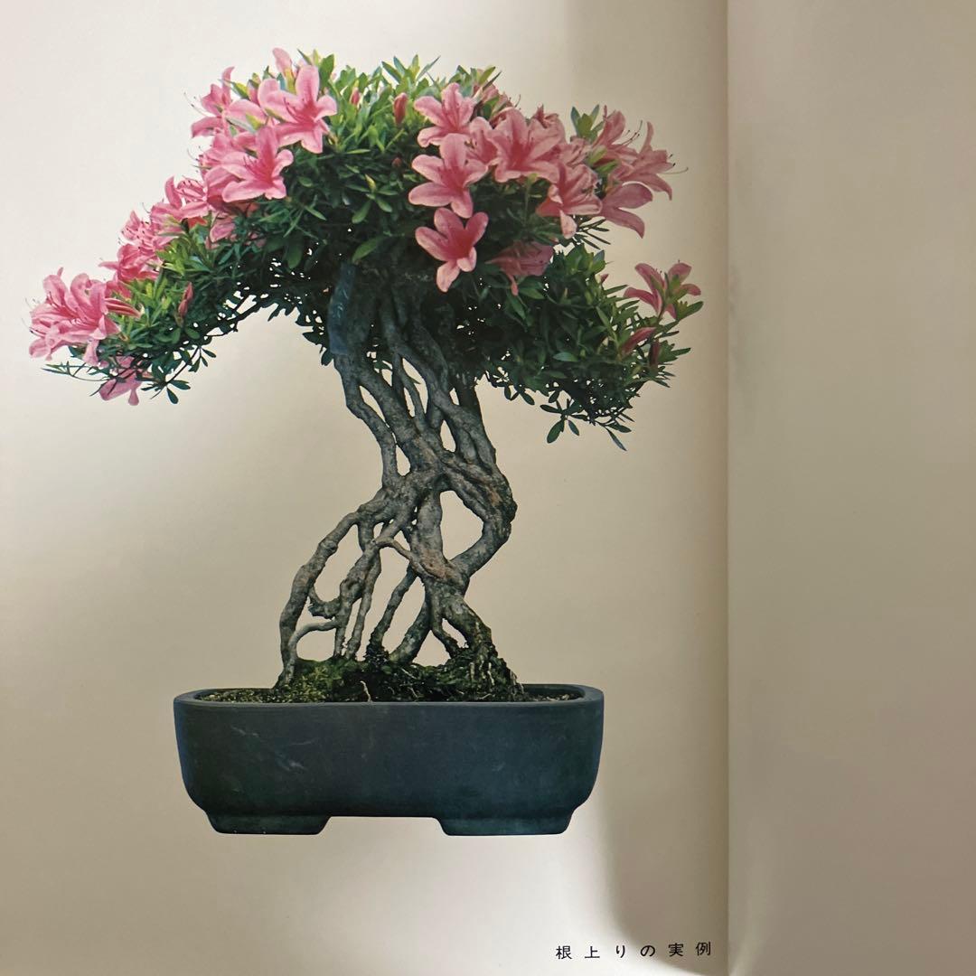 高等教範　盆栽の基本樹形　上下巻　中津千吉