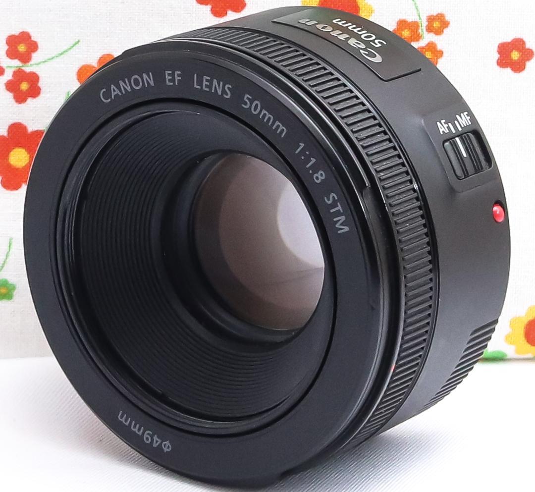 美品☆Canon EF 50mm F1.8 STM☆背景ふんわり♪憧れのボケ感