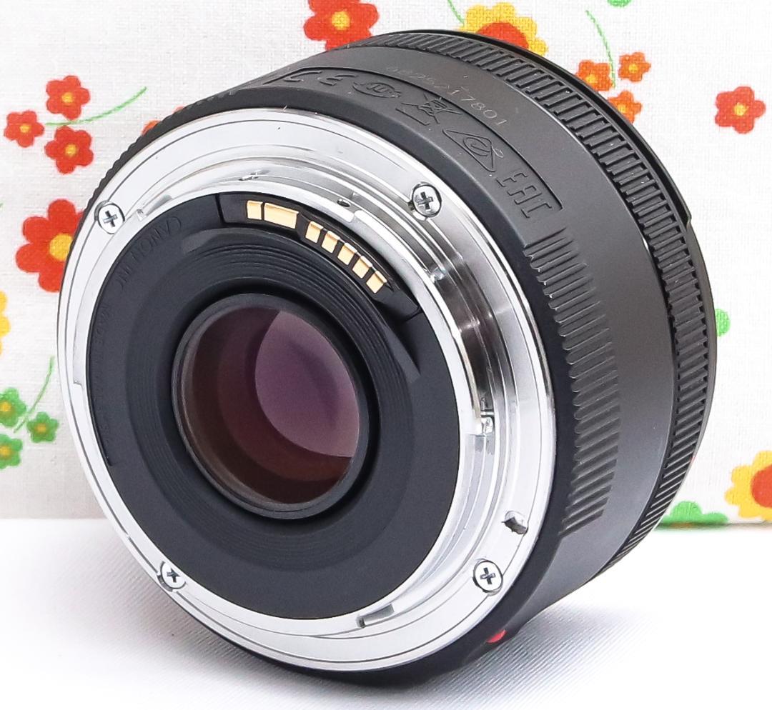美品☆Canon EF 50mm F1.8 STM☆背景ふんわり♪憧れのボケ感