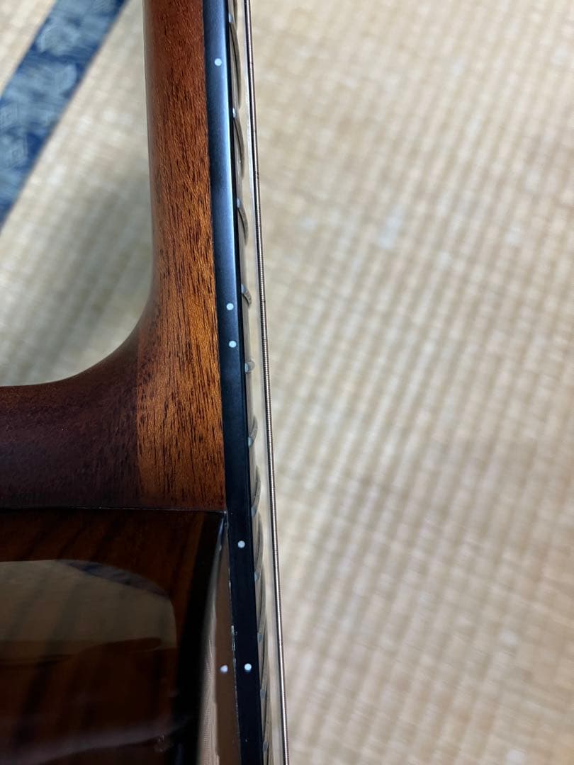 SX SS760E アコースティックギター　エレアコ