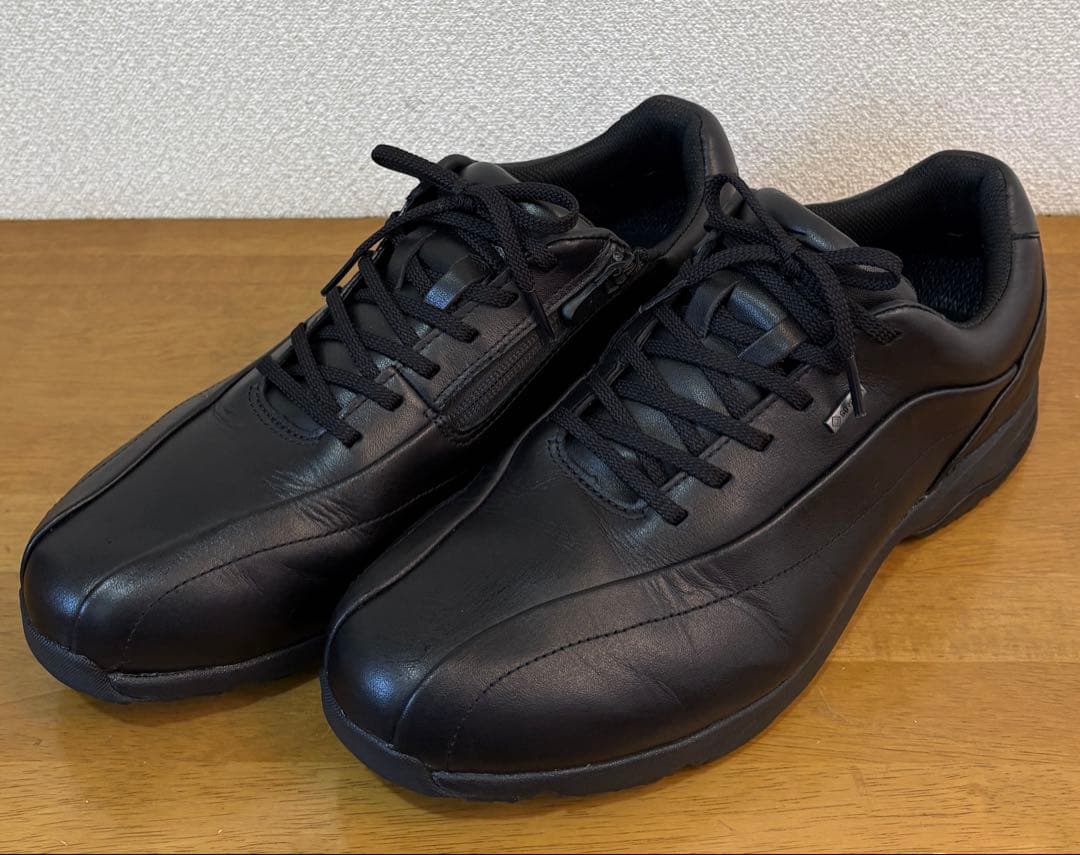 ミズノ ウォーキングシューズ 27.5cm 4E GORETEX