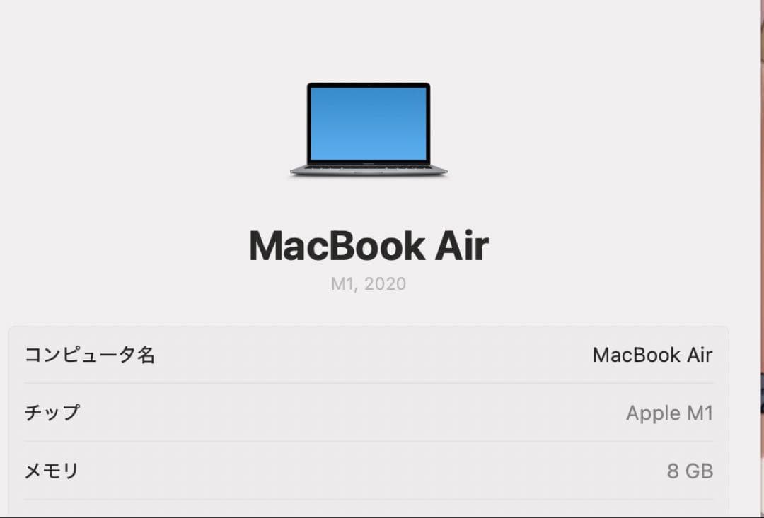 Apple MacBook air M1 バッテリー97% ハブ&ケース付