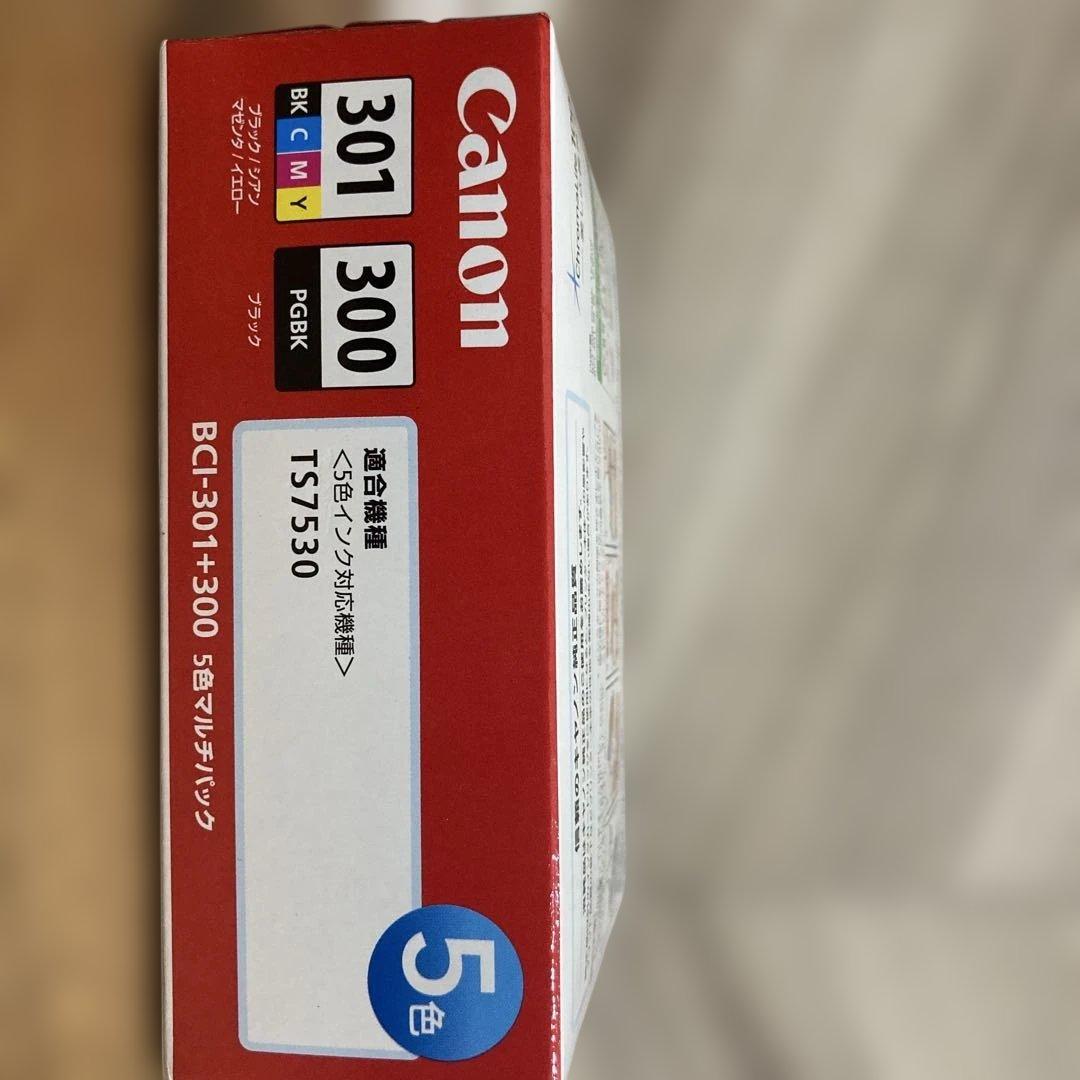 Canon PIXUS 301 300 インクカートリッジ 5色セット2個セット
