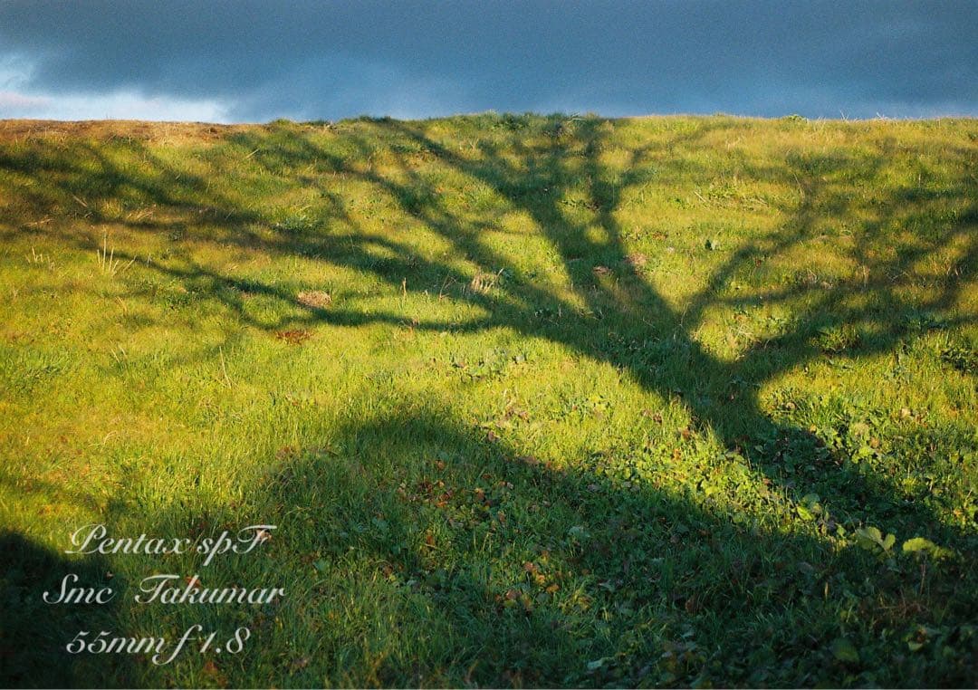 試写作例多数★pentax spf★リザード本革グリーン★美品＊完動品＊初期保証