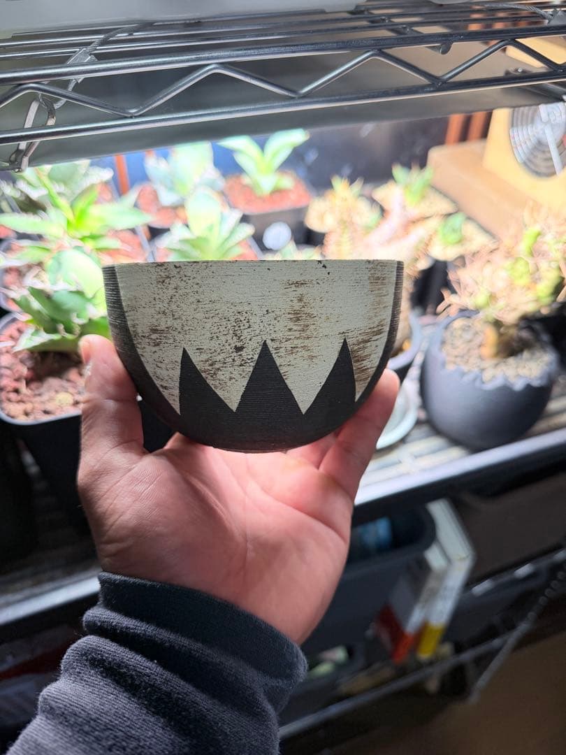 陶器鉢 作家鉢　インビシブルインク