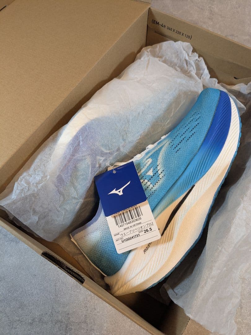 ミズノ MIZUNO メンズ ランニングシューズ ウエーブリベリオンプロ2