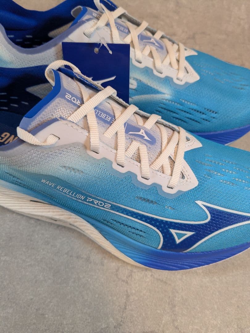 ミズノ MIZUNO メンズ ランニングシューズ ウエーブリベリオンプロ2