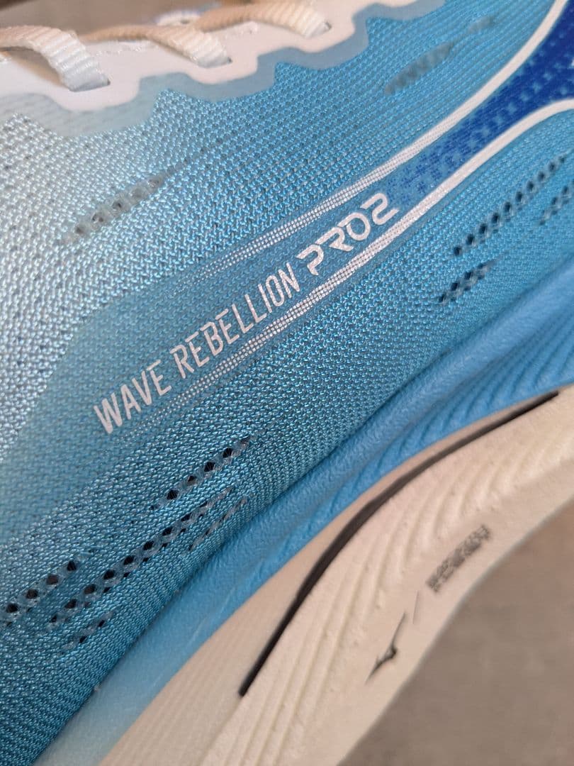 ミズノ MIZUNO メンズ ランニングシューズ ウエーブリベリオンプロ2