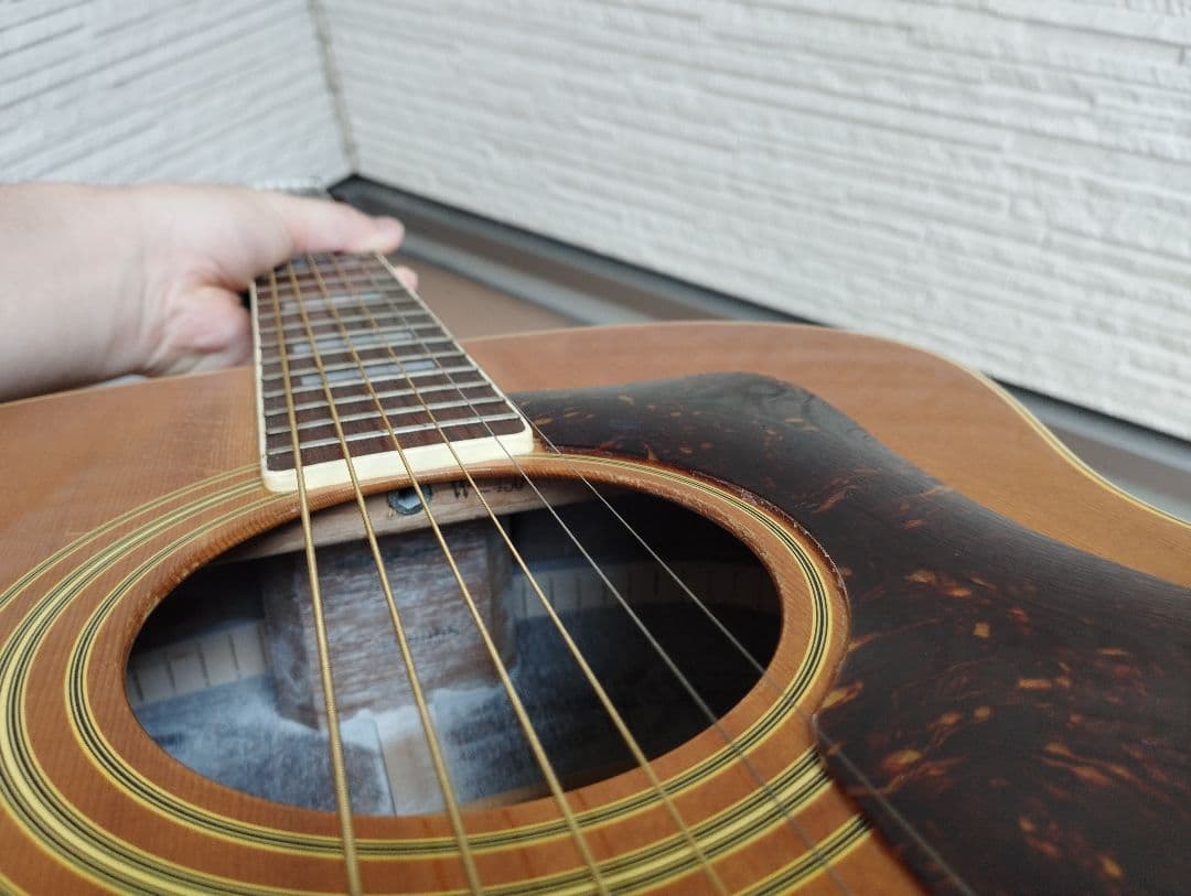 マウンテン＜W-450＞日本製・林楽器製作・トップ単板 guildタイプ