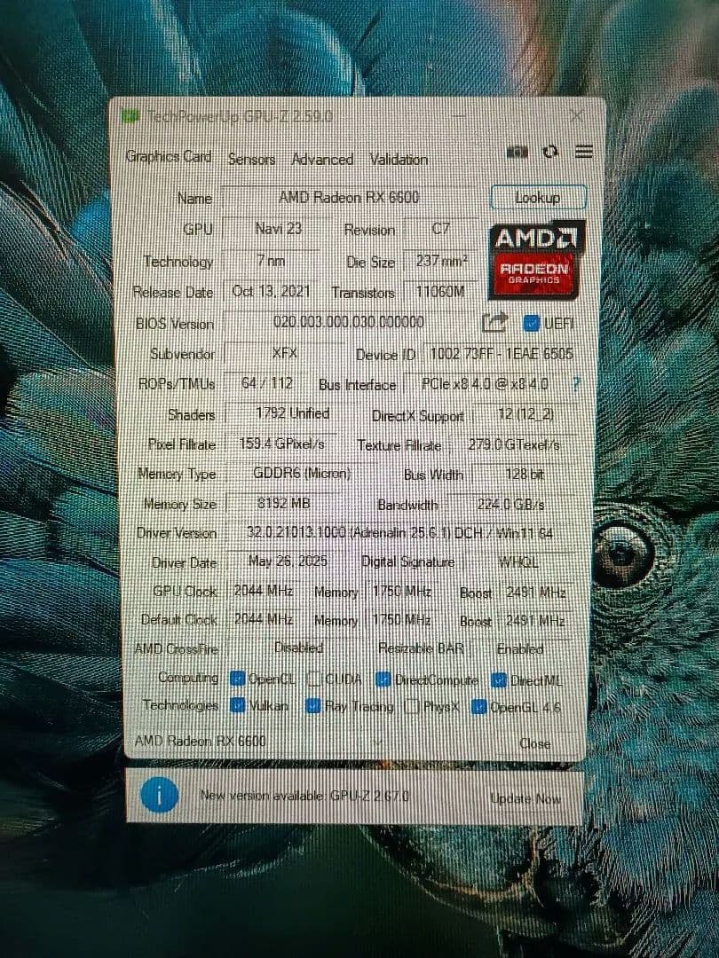 グラフィックボード・グラボ・ビデオカード xfx swft 210 RX 6600 8GB