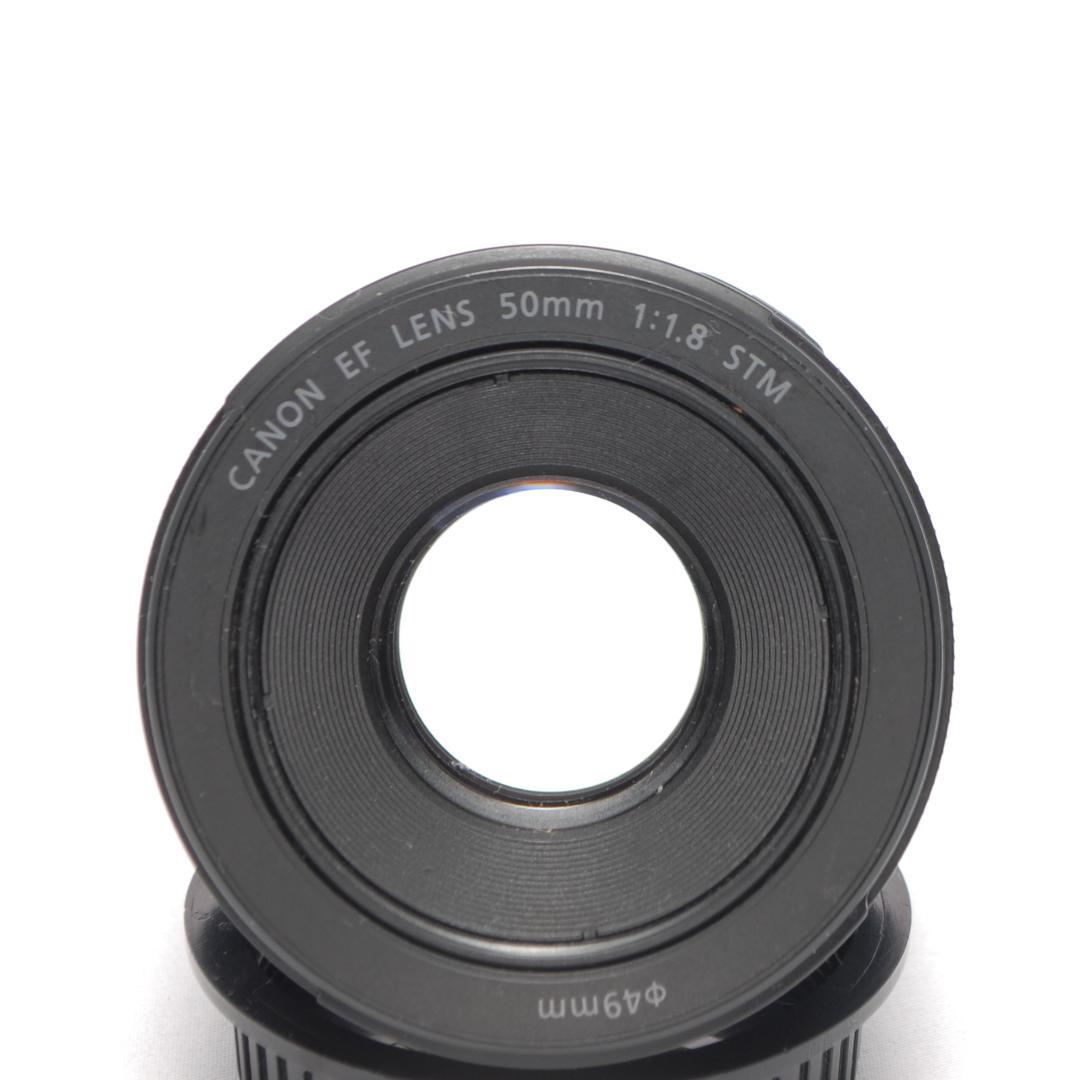 ✨美品✨Canon EF 50mm F1.8 STM✨単焦点レンズ