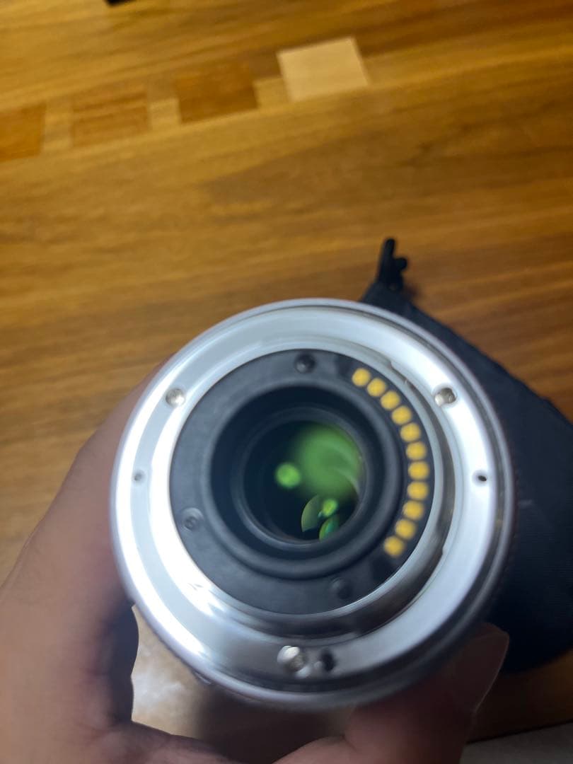 LUMIX G VARIO 45-175mmレンズ