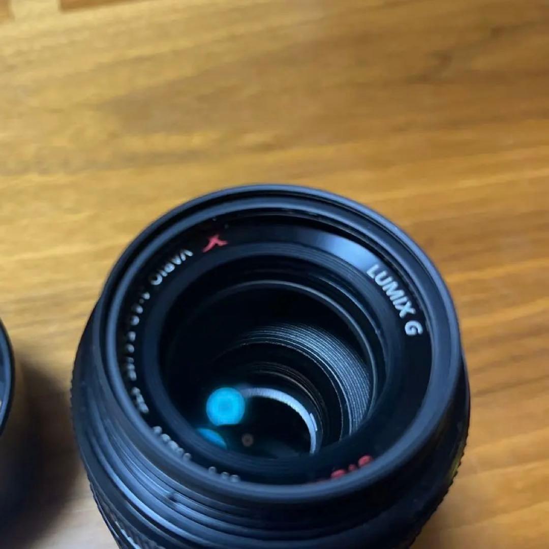 LUMIX G VARIO 45-175mmレンズ