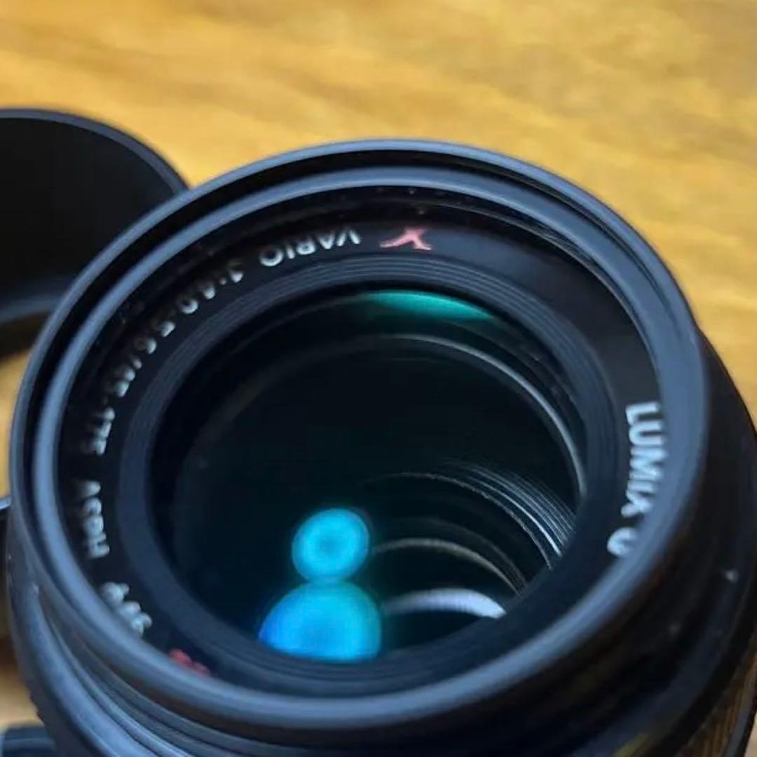 LUMIX G VARIO 45-175mmレンズ