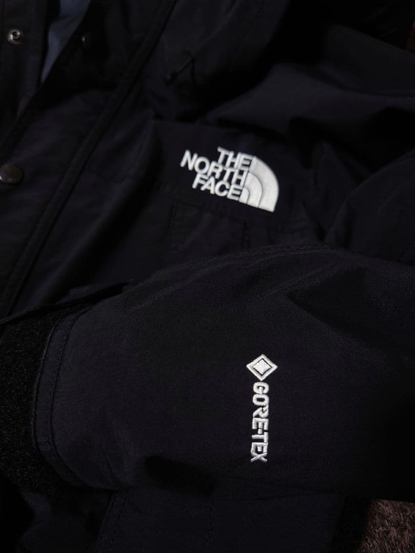 ジャケット・アウター THE NORTH FACE GORE-TEX Mountain Jacket