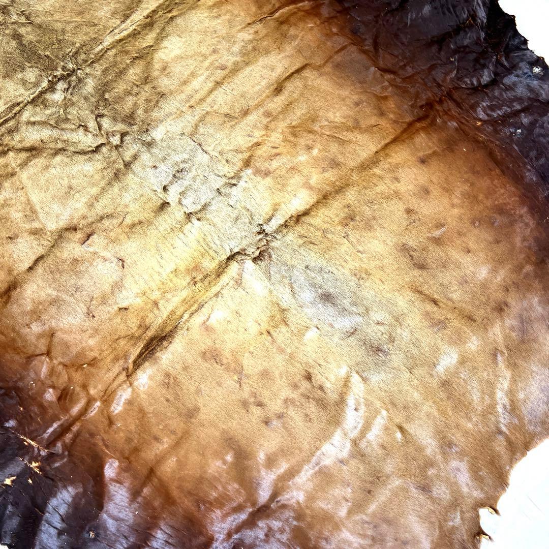 トド毛皮敷物　レザー皮革　海馬　北欧　ファーラグマット　チェア　ソファー　原料⑬