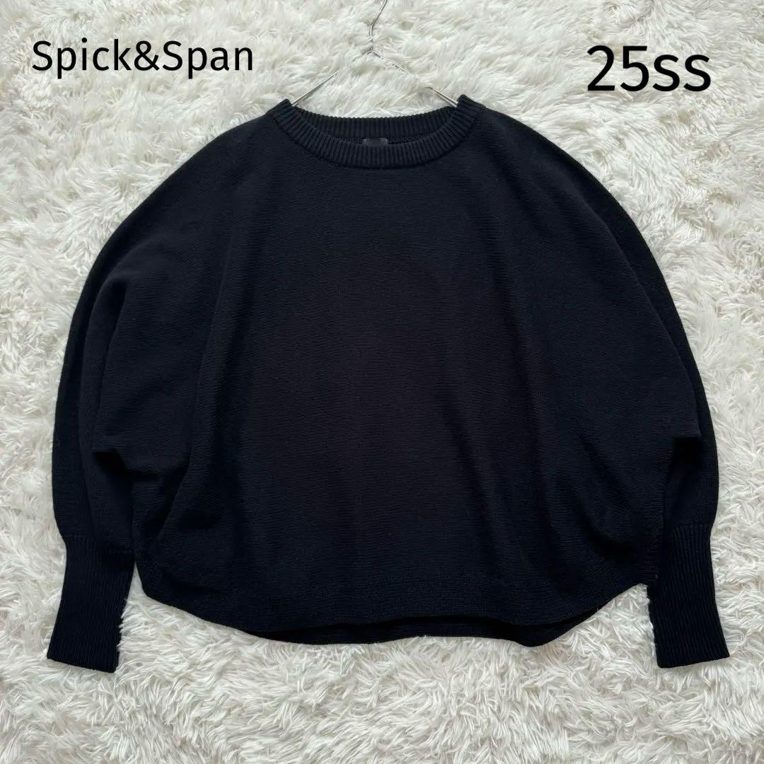 25SS✨スピックアンドスパン バルキーヤーンドルマンロングリブニット 黒