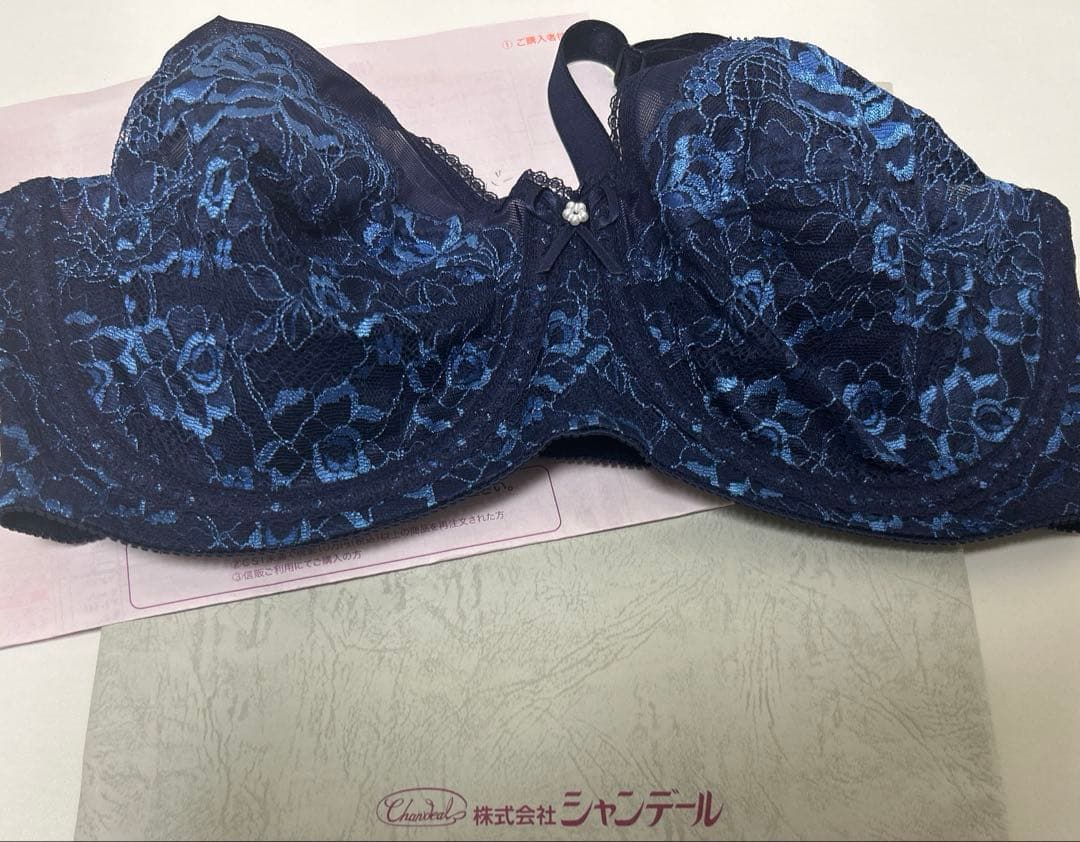 シャンデール　ブラジャーF95