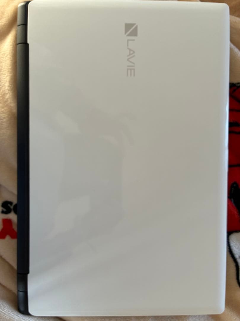 ⭐︎値下げ⭐︎SSD Win11 DVD再生可ノートPC NEC (E2961)