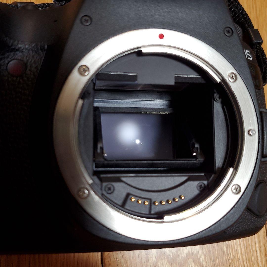 キヤノン Canon eos 6d markⅡ 本体
