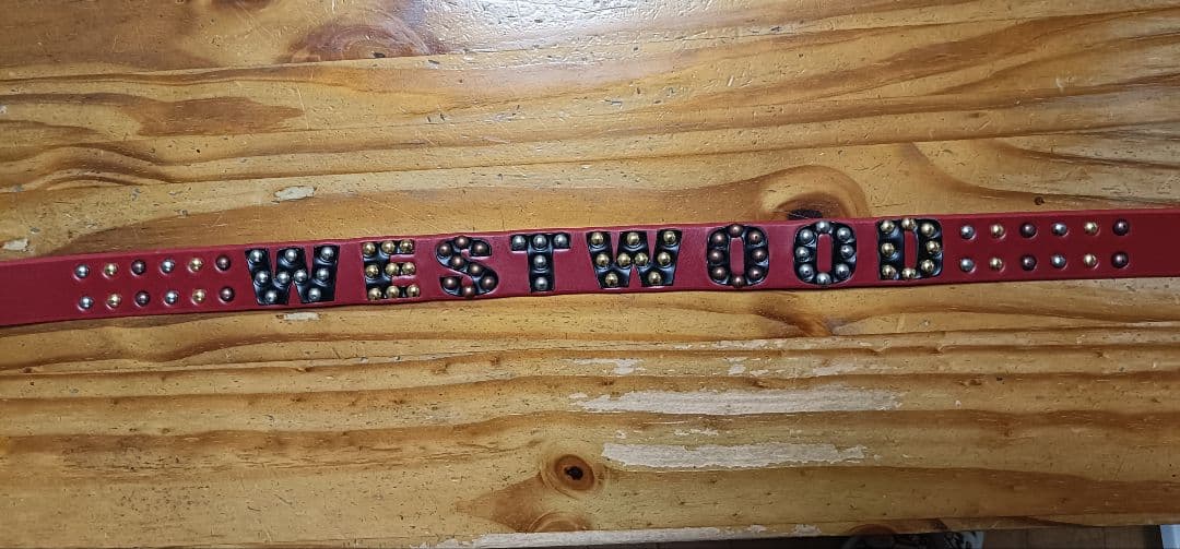 VivienneWestwood/レア/Red/フリーサイズ