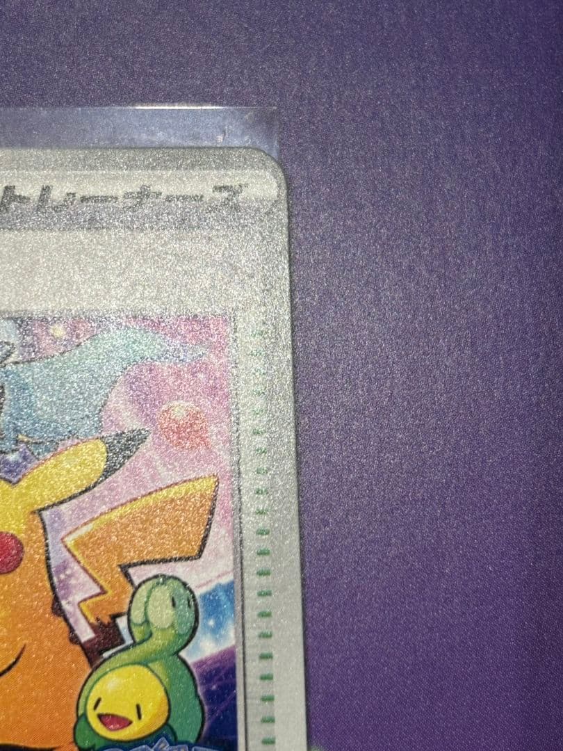 おいわいファンファーレ チャンピオンシップシリーズ2025 台紙付き