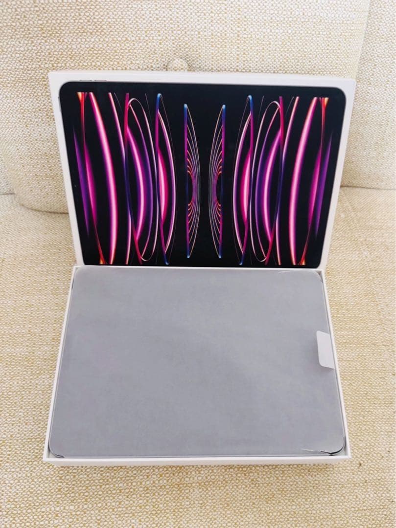 極美品 iPad Pro M2 11インチ　4世代