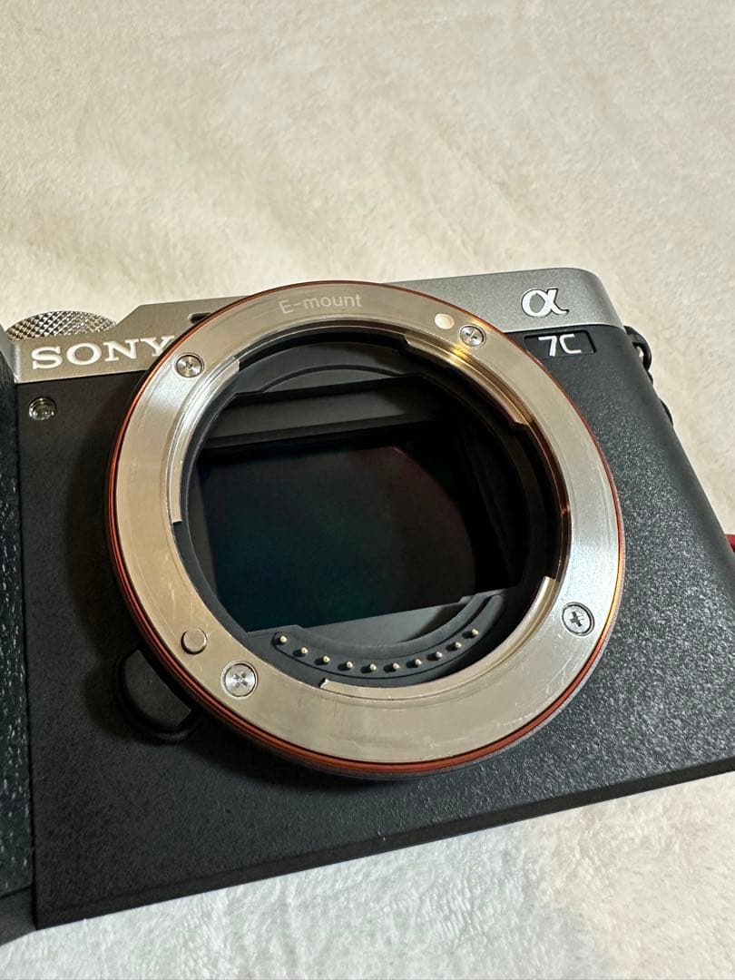 Sony α7CⅡ ボディ おまけ付き