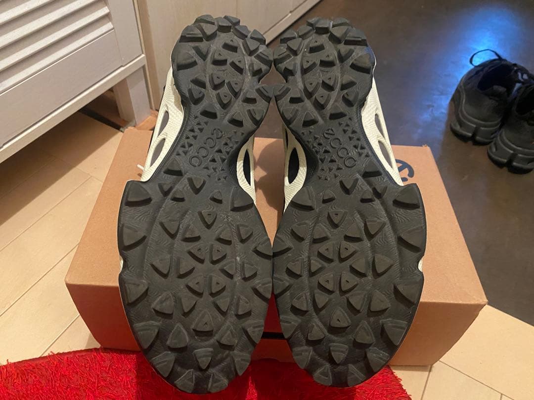 Ecco Biom C-Trail Men エコー メーカー欠品サイズ