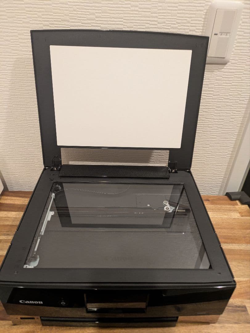 Canon PIXUS TS8430 印刷枚数 2490枚 No.171