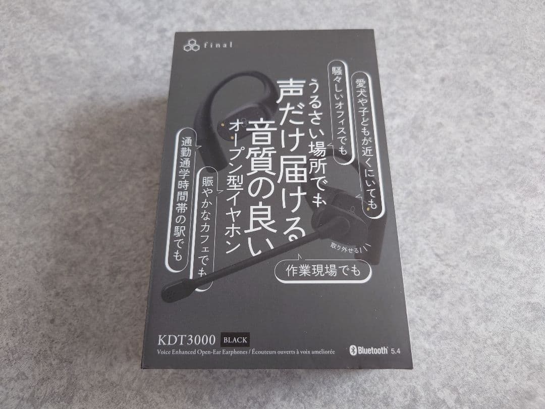 ほぼ未使用 final KDT3000 Black