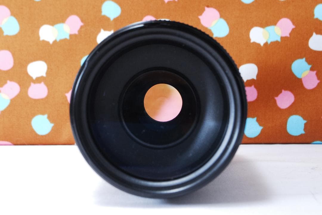 ✨人気の望遠レンズ✨Canon EF 75-300mm F4-5.6