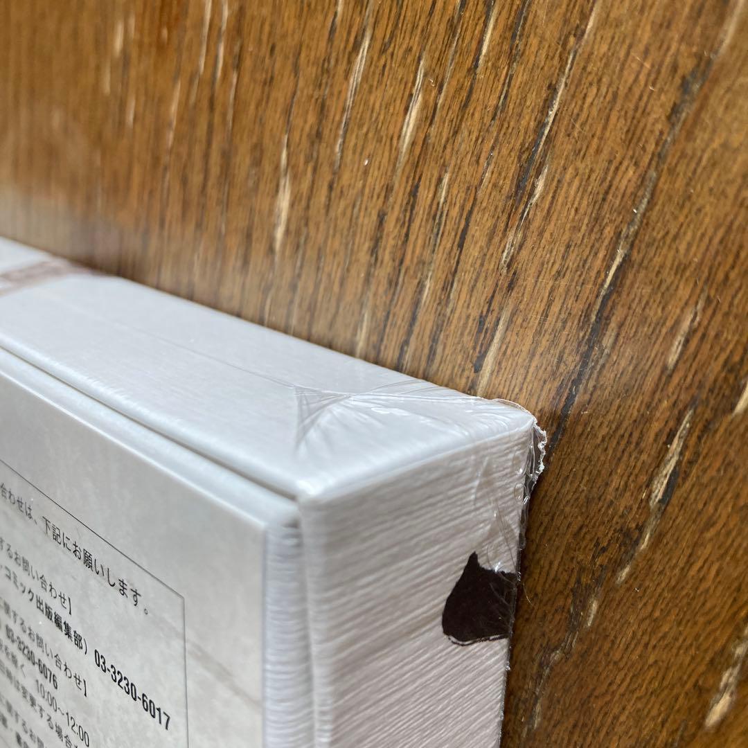 MONSTERS 一百三情飛龍侍極 リューマ　プロモカード 日本版 新品未使用