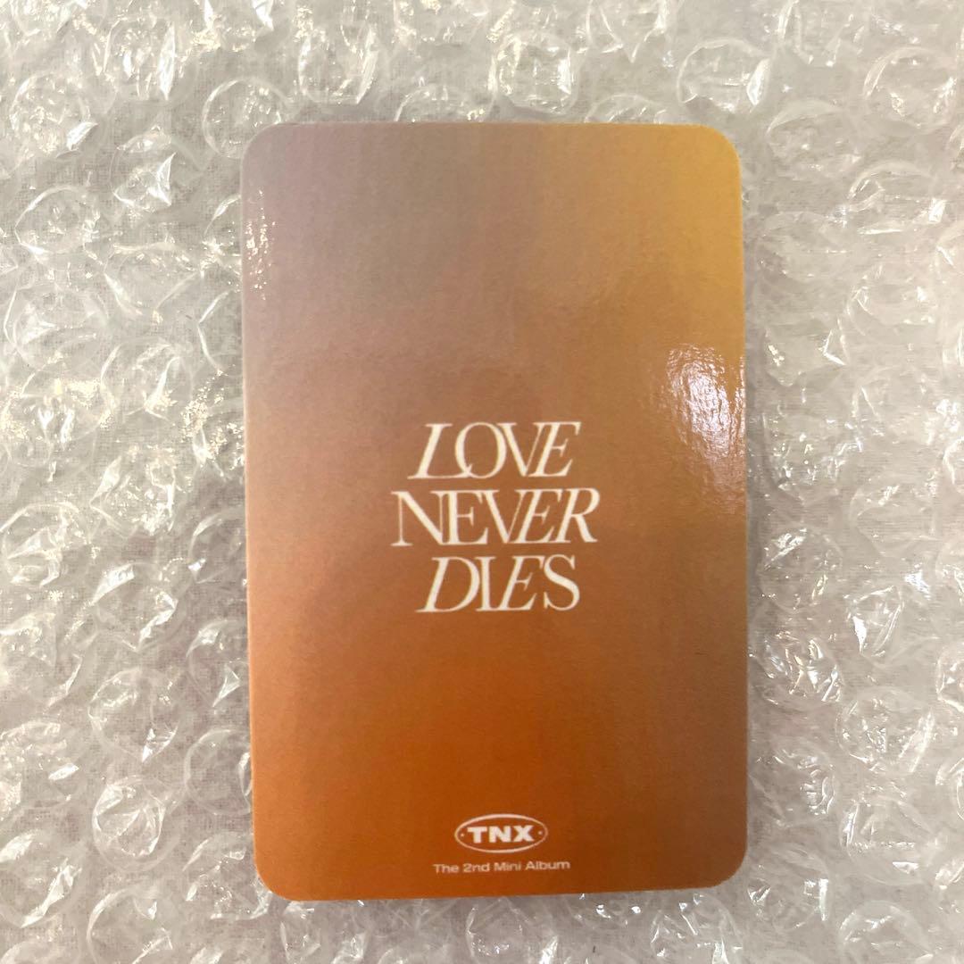 TNX LOVE NEVER DIES ソンジュン　トレカ