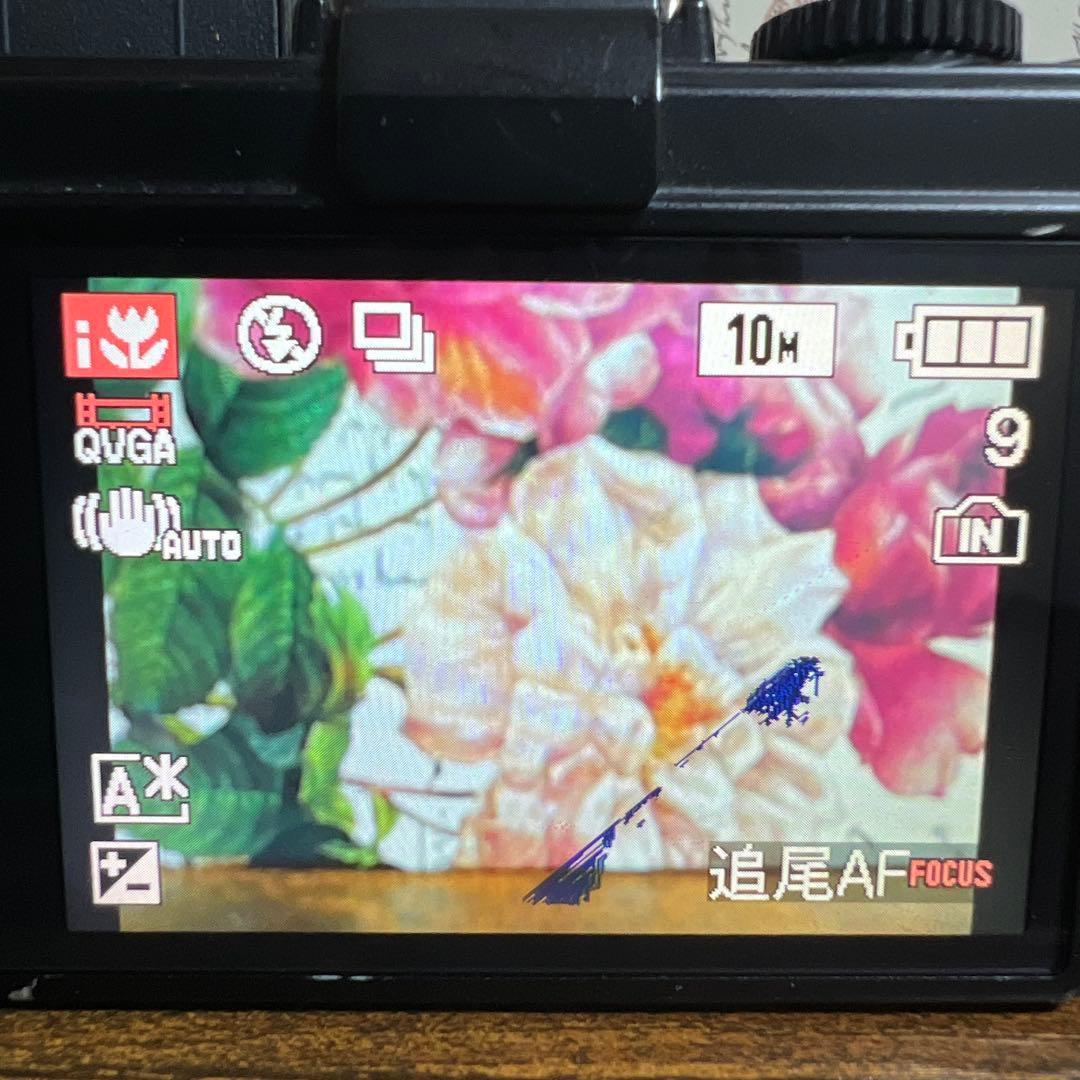 デジカメ　LEICA D-LUX5 コンパクトカメラ　ライカ