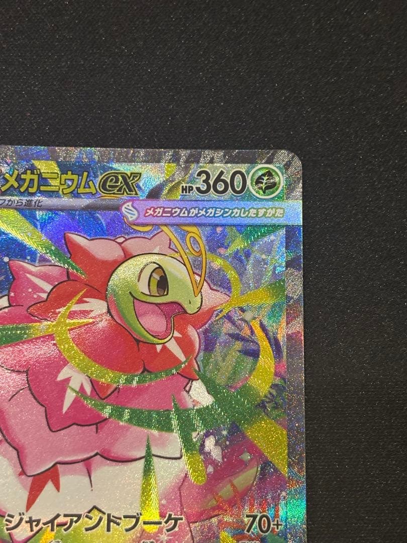 メガメガニウムex SAR 進化ライン付き