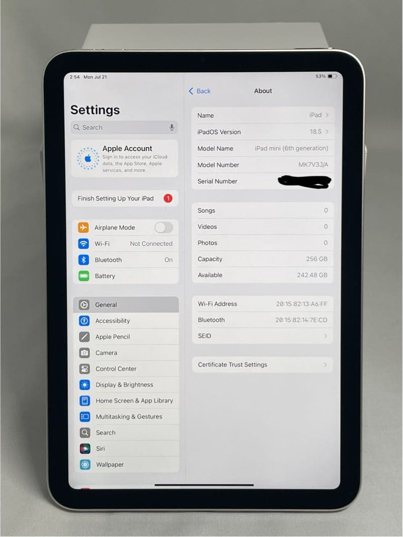iPad本体 Apple iPad mini 6th generation 256GB