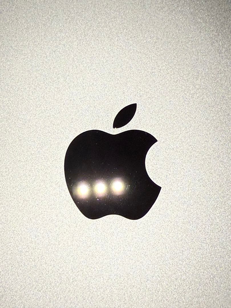 iPad pro 11インチ　第2世代　スペースグレイ　セルラーモデル