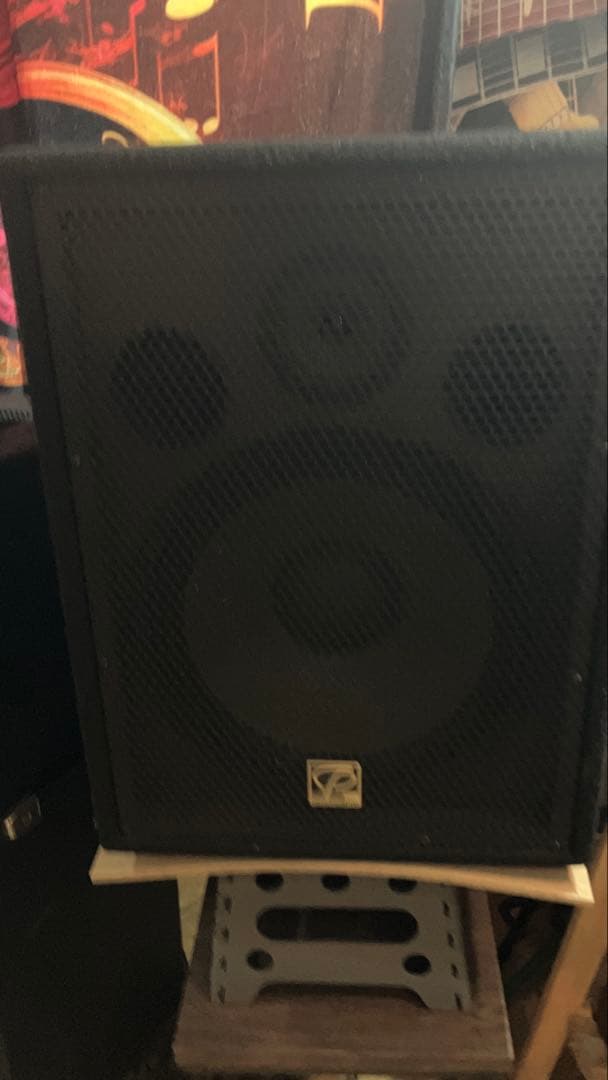 CP12E パッシブスピーカー 黒 2台セット！