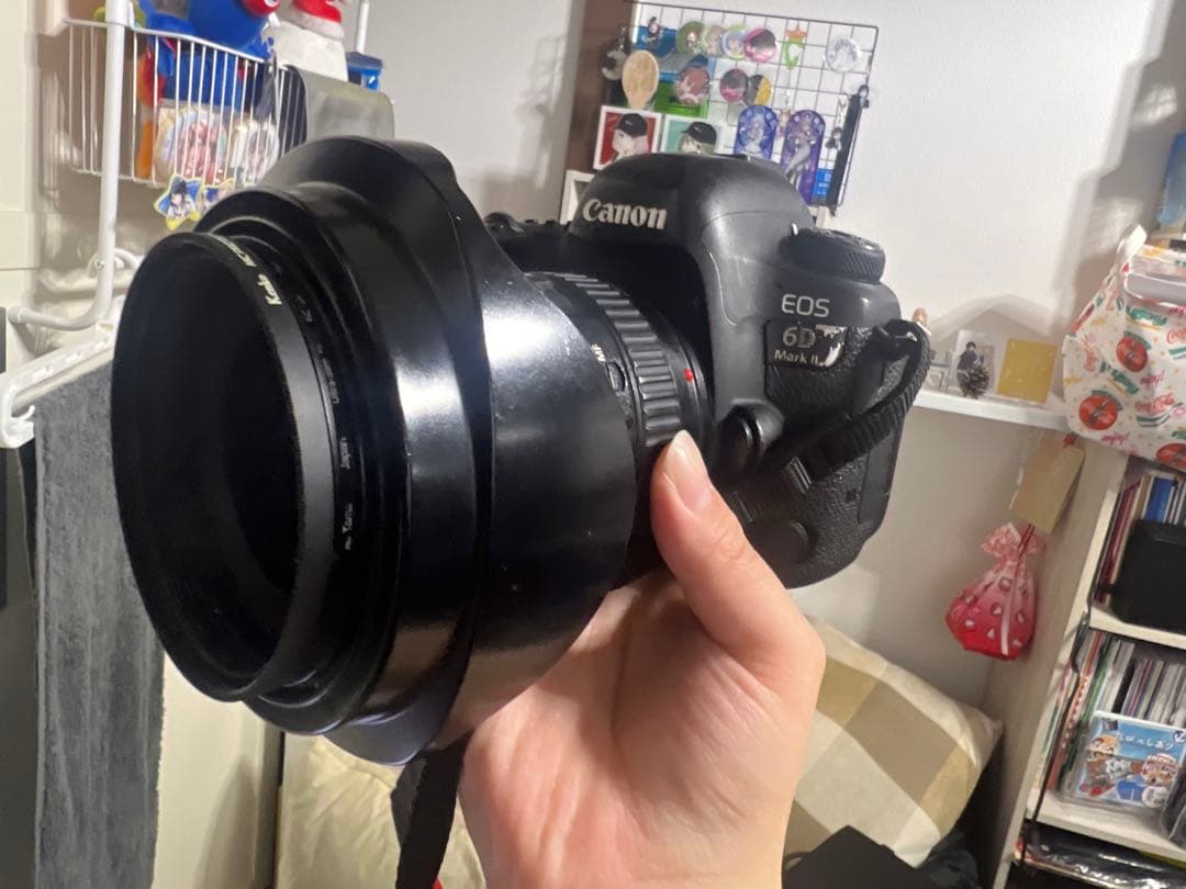 Canon キャノンEOS 6D mark2 EF 17-40mmレンズ セット
