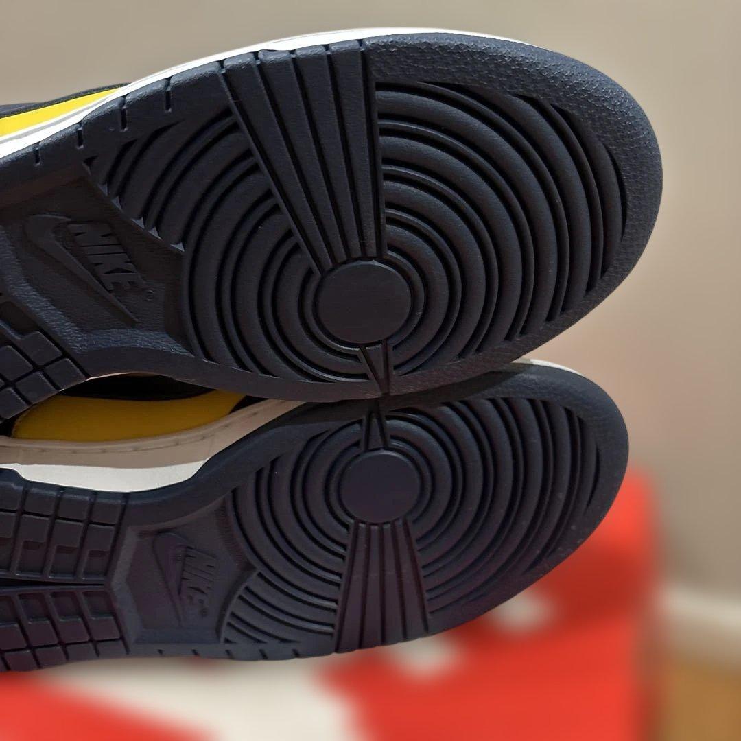 Nike dunk low ミシガン 28cm Michigan