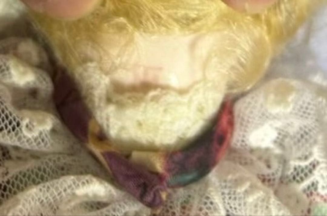 創作人形作家　三輪輝子　ミワドール　ビスクドール