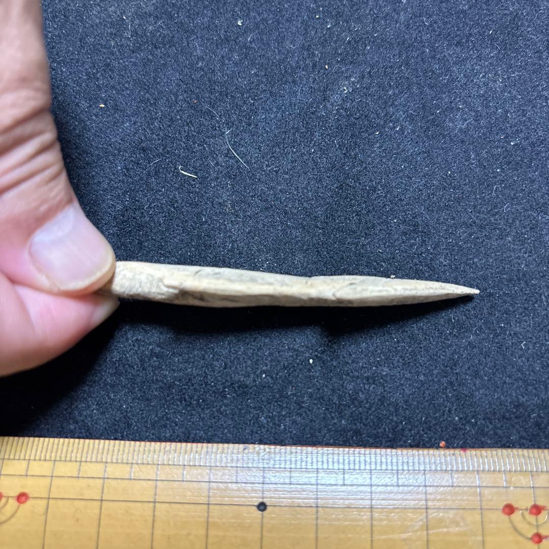 ⭐︎専用⭐︎ ポメラニアンの足様