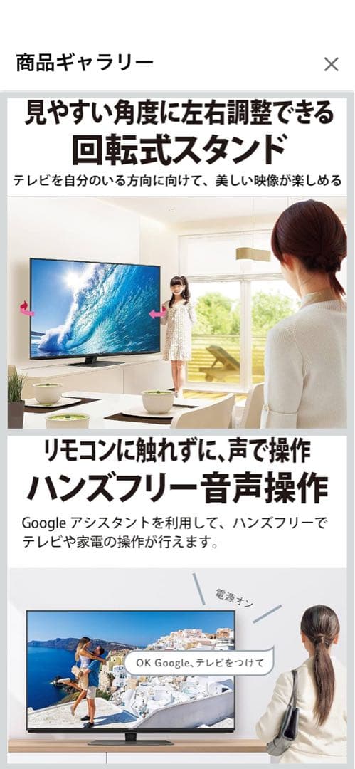シャープ4K有機ELテレビ「AQUOS OLED 4T-C65DS1」2021年