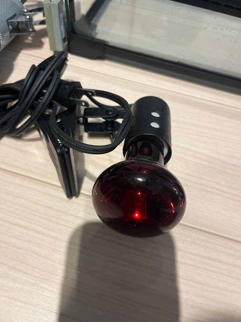 爬虫類　ゲージ　ライト等セット