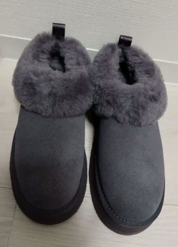 UGG タゼル グレー24 箱とタグなし 室内にて試着のみ