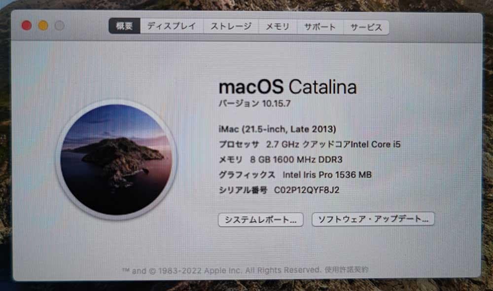 Macデスクトップ Apple iMac 21.5-inch Late 2013 8GB 1TB